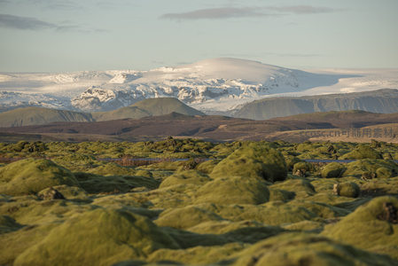绿苔原野与雪山背景的壮丽风光