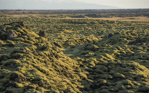 航拍视角下的苔藓熔岩平原