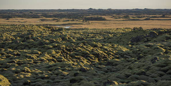 夕阳下苔藓覆盖的熔岩地貌全景