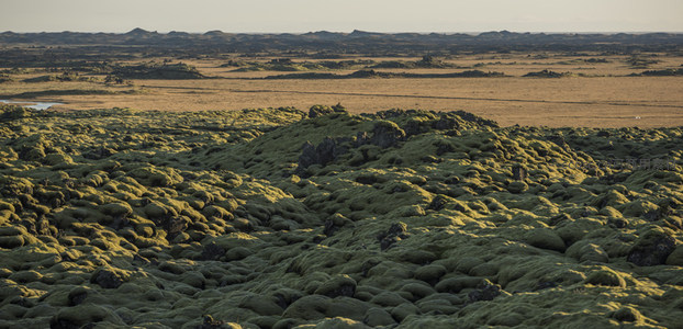 苔藓熔岩丘陵与远方草原的过渡景观