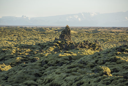 远山下的苔藓奇峰