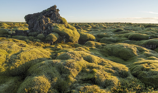 苔藓覆盖的火山岩地貌在阳光下熠熠生辉