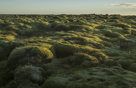 广袤苔原无垠，绿色波浪延至天际