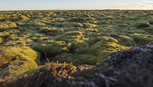 前景岩石与苔藓原野构成的景深构图