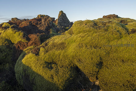 阳光亲吻着苔藓覆盖的古老火山锥