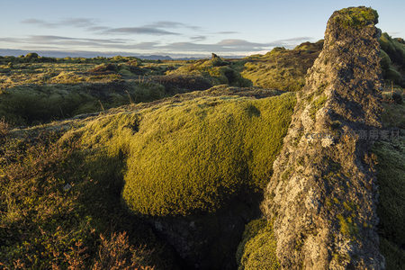 苔藓覆盖的火山岩地貌在夕阳下熠熠生辉
