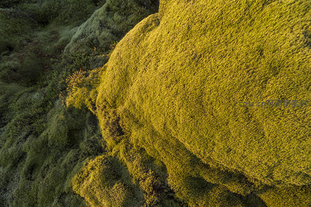 航拍视角下的苔原地毯般铺展起伏