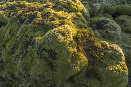 苔藓包裹的玄武岩，大地上的绿色雕塑群