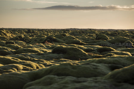 广阔苔原日落时分，大地披上金色薄纱