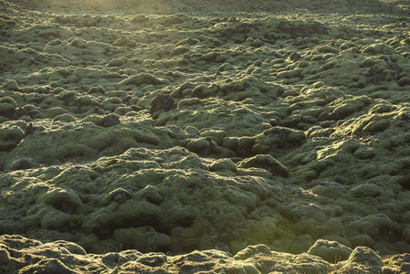 广阔苔原上的火山地貌