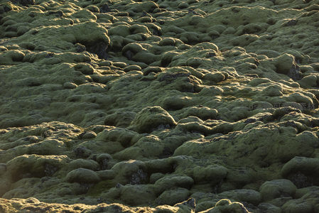 苔藓覆盖的火山岩地貌
