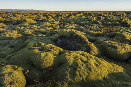 苔藓包裹的岩石，自然雕琢之美