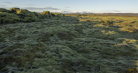 远山下的苔原大地