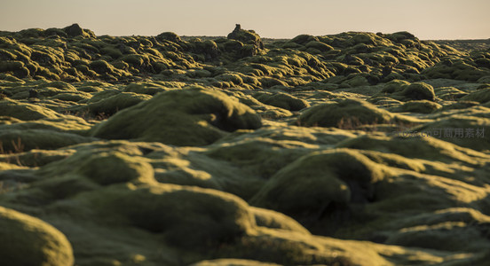 金色阳光洒落苔藓丘陵，勾勒出大地肌理