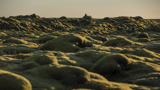 暮色中的苔藓荒原，远山剪影静谧安详
