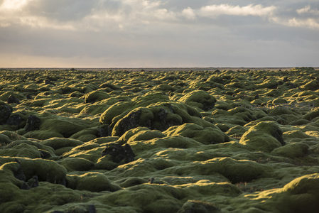 夕阳洒满苔藓覆盖的熔岩平原，一片绿意盎然