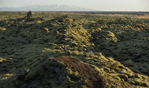 远山雪峰下，苔藓覆盖的熔岩流蜿蜒如绿色河流