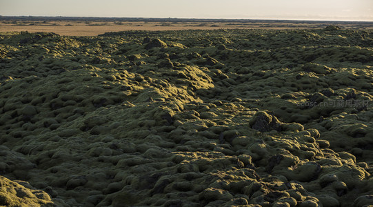 苔藓覆盖的火山岩地貌在夕阳下泛着绿光