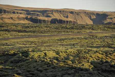 蜿蜒公路穿过苔藓覆盖的熔岩平原延伸至远山
