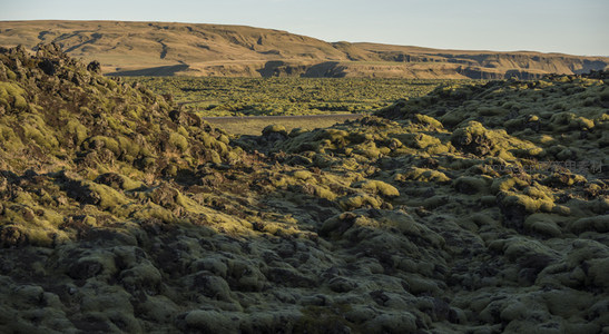 起伏的苔藓丘陵在光影交错中展现大地肌理