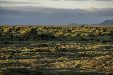 无垠苔藓原野在云影下铺展如绿色地毯