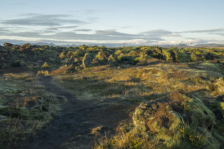 苔藓覆盖的火山岩地貌，远山如黛
