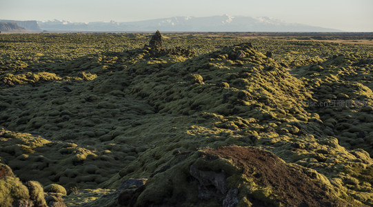 起伏的苔藓丘陵，远山隐约可见
