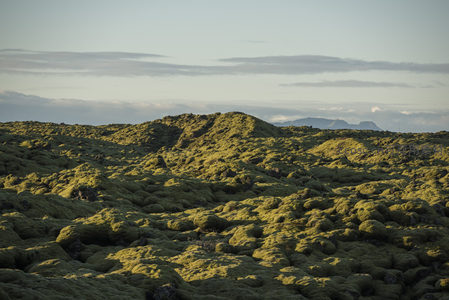 夕阳下的苔藓熔岩平原，静谧辽阔