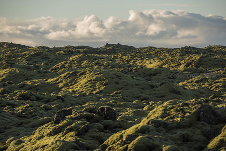 云影掠过苔藓山丘，光影变幻