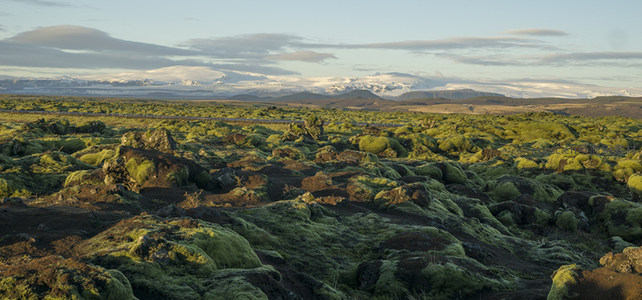远眺雪山下的苔原大地壮丽无垠