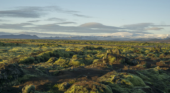 晨光中的苔藓荒原与云影山峦相映成趣