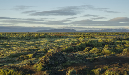 广袤苔原铺展如绿毯遥接天际山峦