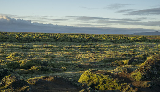 苔藓覆盖的火山地貌在柔和光线下延展