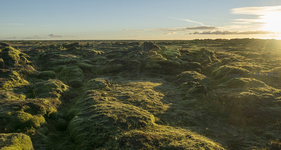 苔藓覆盖的火山岩地貌在夕阳下熠熠生辉