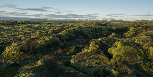 蜿蜒小径穿行于苔藓覆盖的火山岩之间