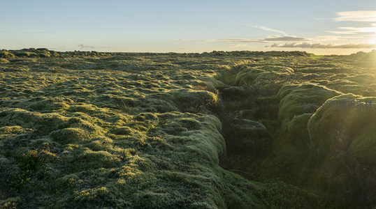金色阳光穿透云层，照亮无垠苔藓原野