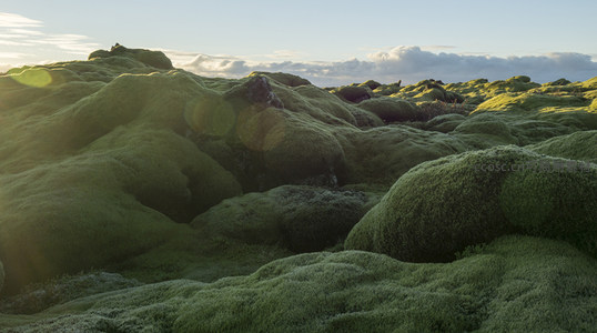 阳光穿透云层照亮苔藓覆盖的岩石群