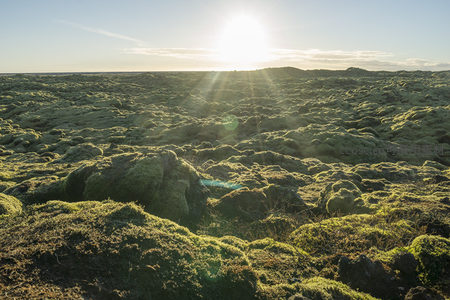 无垠苔原在晨曦中铺展至天际