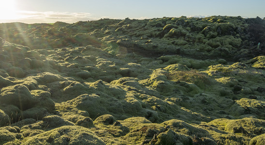 阳光穿透云层洒在青翠苔原之上