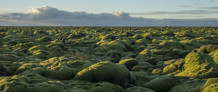 云影掠过苔藓平原，天地一色
