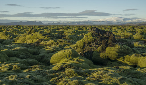 苔藓覆盖的火山岩地貌，远山如黛