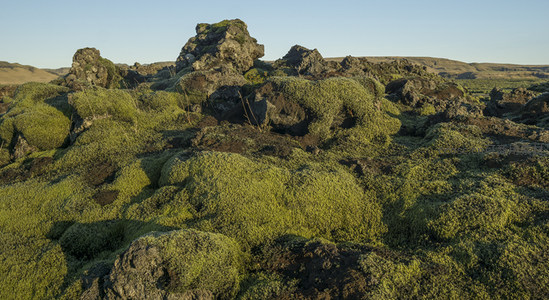 苔藓覆盖的火山岩地貌