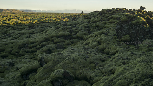 起伏的苔藓丘陵景观