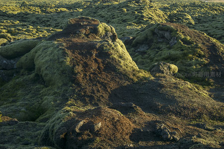 光影交错下的苔原岩石，质感十足