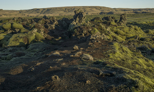 广袤苔原荒野，苍凉又生机勃勃