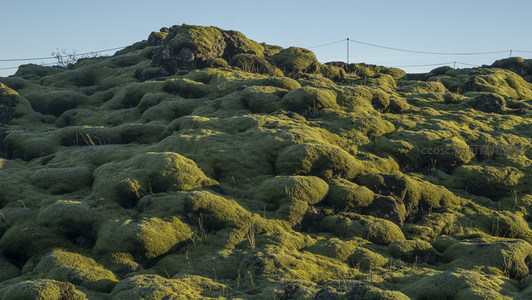 阳光下的苔藓丘陵，柔软如绒