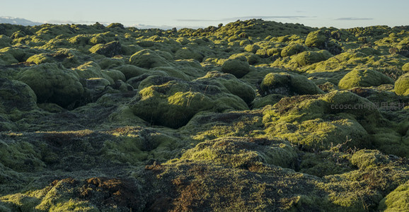 苔藓覆盖的火山岩地貌，绿意盎然