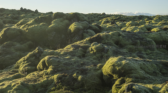 晨光中的苔藓丘陵，光影交错