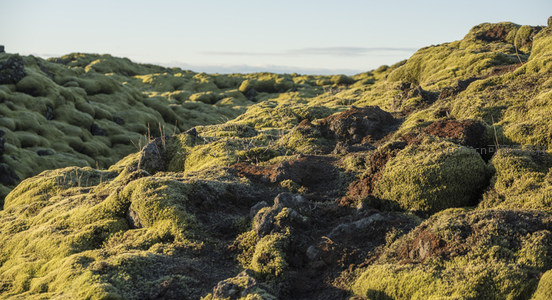 阳光洒落苔藓覆盖的崎岖熔岩原野