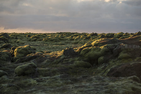 暮色中苔藓熔岩地宛如沉睡的绿色巨兽